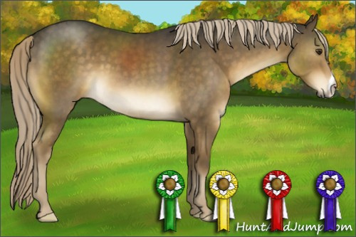 Horse Color:Chocolate Palomino 