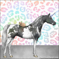 Horse Color:White Spotted Silver Black Chinchilla Tobiano Rabicano 