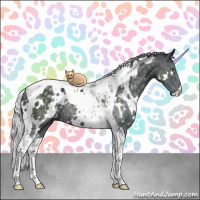 Horse Color:White Spotted Silver Black Chinchilla Tobiano Rabicano 