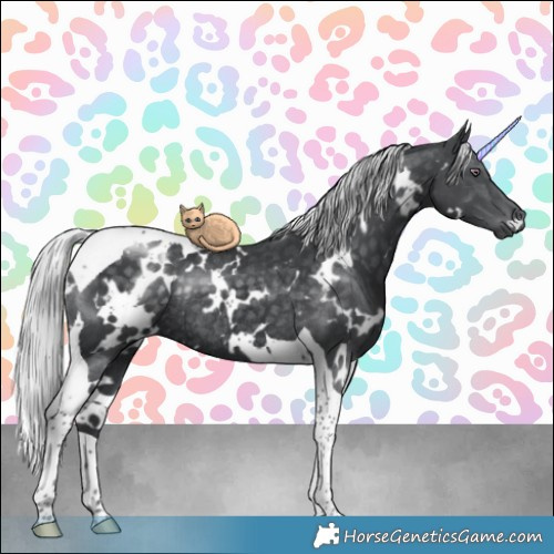 Horse Color:White Spotted Silver Black Chinchilla Tobiano Rabicano 