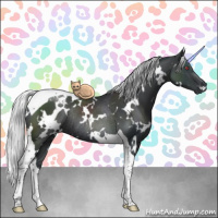 Horse Color:White Spotted Silver Black Chinchilla Tobiano Rabicano