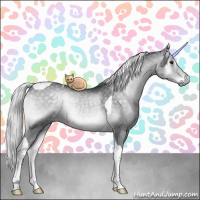 Horse Color:Silver Blue Onyx Chinchilla Tobiano Rabicano