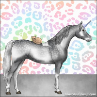 Horse Color:Silver Blue Onyx Chinchilla Tobiano Rabicano