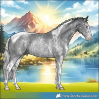 Horse Color:White Spotted Silver Black Chinchilla Tobiano Rabicano
