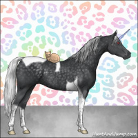 Horse Color:Silver Black Chinchilla Tobiano Rabicano 