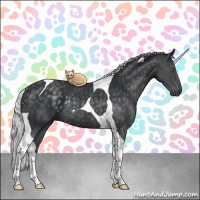 Horse Color:Silver Black Chinchilla Tobiano Rabicano