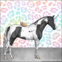 Horse Color:Silver Black Chinchilla Tobiano Rabicano