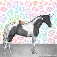 Horse Color:Silver Black Chinchilla Tobiano Rabicano 