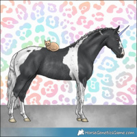 Horse Color:Silver Black Chinchilla Tobiano Rabicano