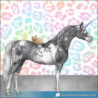Horse Color:White Spotted Silver Black Chinchilla Ice Splash Tobiano Rabicano 