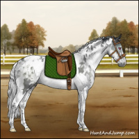Horse Color:White Spotted Silver Black Chinchilla Ice Tobiano Rabicano 