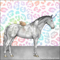Horse Color:White Spotted Silver Black Chinchilla Ice Tobiano Rabicano