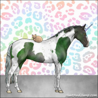 Horse Color:Painted Silver Black Tobiano Rabicano 