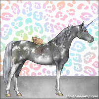 Horse Color:Painted White Spotted Silver Black Chinchilla Ice Tobiano Rabicano 