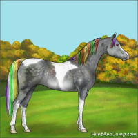 Horse Color:Painted Silver Black Chinchilla Ice Sabino Tobiano Rabicano 