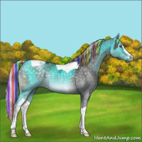 Horse Color:Painted Silver Black Chinchilla Ice Sabino Tobiano Rabicano 