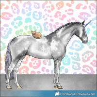 Horse Color:Painted White Spotted Silver Blue Onyx Chinchilla Tobiano Rabicano