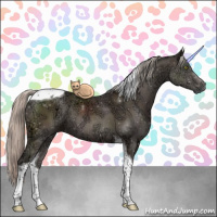 Horse Color:Silver Black Ice Tobiano Rabicano 