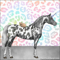 Horse Color:Silver Black Chinchilla Ice Tobiano Near Leopard Rabicano 