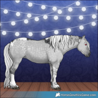 Horse Color:Silver Grullo Chinchilla Tobiano 