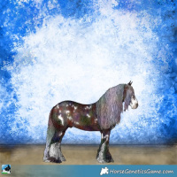 Horse Color:Nacre White Spotted Brown Ice Sabino Rabicano