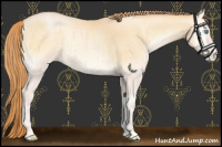 Horse Color:Buckskin Pearl Onyx 