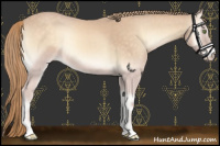 Horse Color:Perlino Onyx