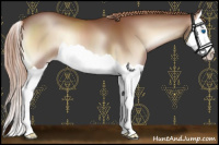 Horse Color:Red Onyx Splash 