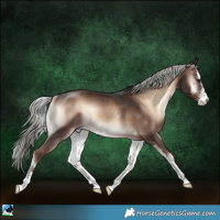 Horse Color:Liver Red Onyx Mushroom Sabino Rabicano 