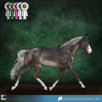 Horse Color:Liver Chestnut Mushroom Sabino Rabicano 