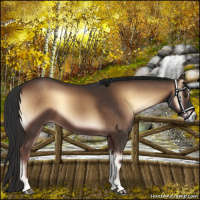 Horse Color:Liver Red Onyx 
