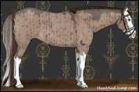Horse Color:Liver Red Dun Roan Sabino Splash Brindle