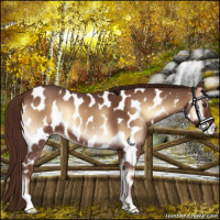 Horse Color:Red Onyx Roan Near Leopard 