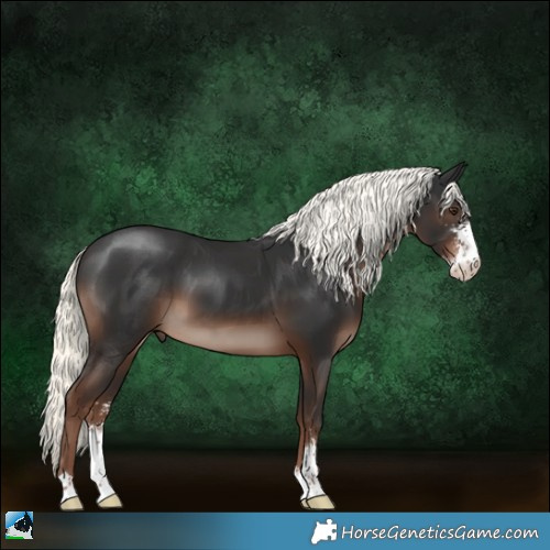 Horse Color:Liver Chestnut Mushroom Sabino 