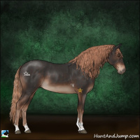 Horse Color:Liver Chestnut Tobiano 
