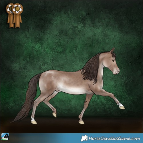 Horse Color:Classic Champagne Mushroom Rabicano 