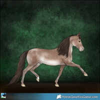 Horse Color:Classic Champagne Mushroom Rabicano