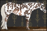 Horse Color:Liver Chestnut Mushroom Appaloosa 