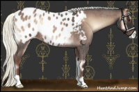 Horse Color:Liver Red Onyx Roan Mushroom Blanket 
