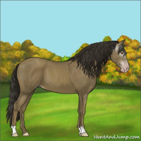 Horse Color:Gray Classic Cream Champagne 