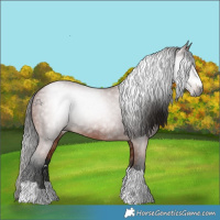 Horse Color:Gray Bay 