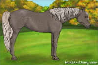Horse Color:Silver Black 