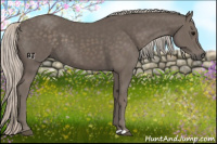 Horse Color:Silver Black