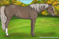 Horse Color:Silver Black 