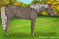 Horse Color:Silver Black 