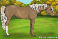Horse Color:Silver Smoky Black 