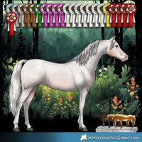 Horse Color:Silver Brown Tobiano Varnish Rabicano 
