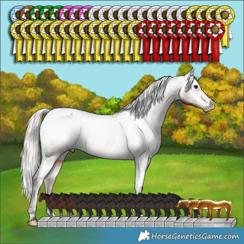 Horse Color:Silver Brown Appaloosa Rabicano 