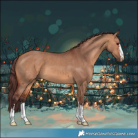 Horse Color:Chocolate Bay Dun 