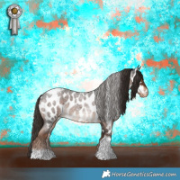 Horse Color:Liver Red Roan Tobiano Appaloosa